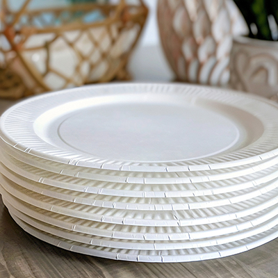 exquisite-cores-paper-plates1